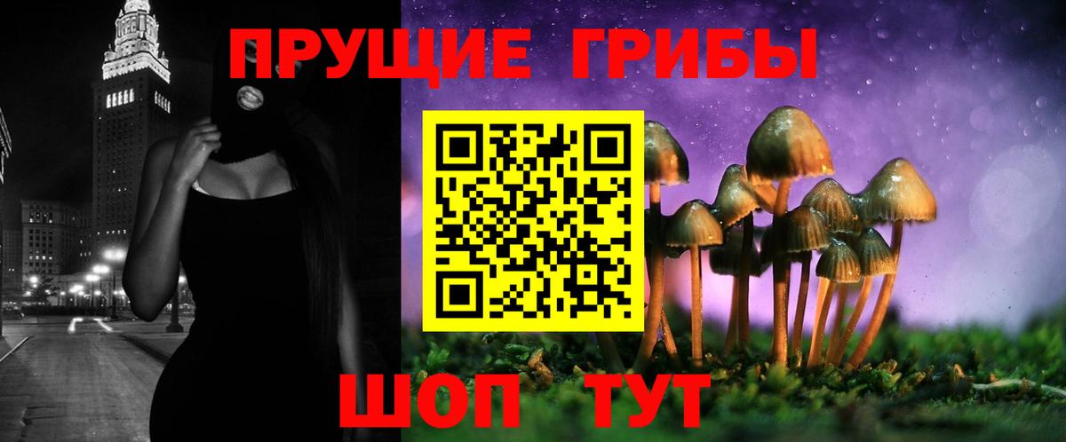 Малгобек  Псилоцибиновые грибы GOLDEN TEACHER  Вход с VPN  Псилоцибиновые грибы Psilocybine cubensis 