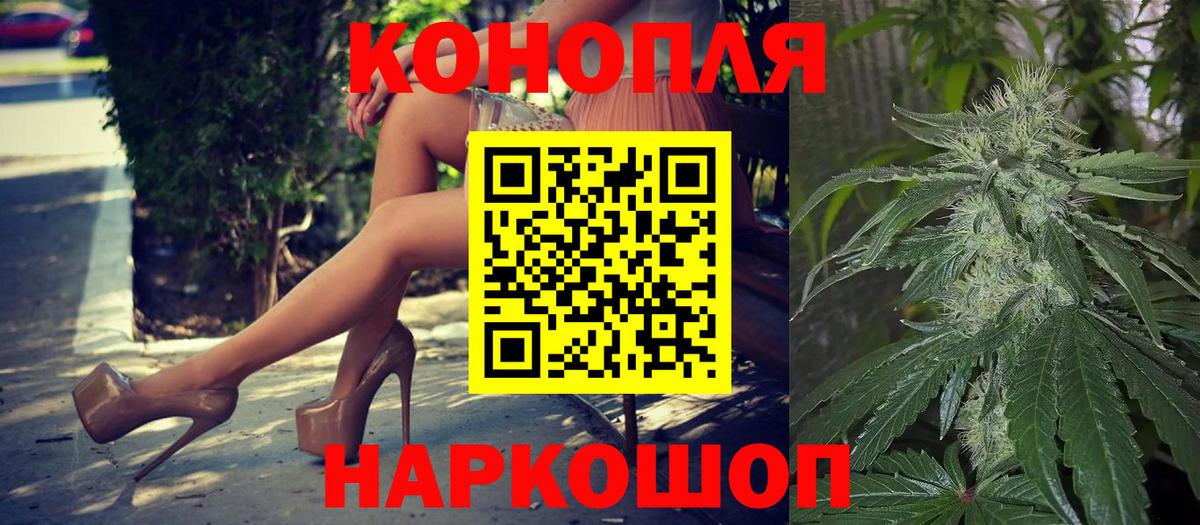Бошки Шишки сатива Малгобек